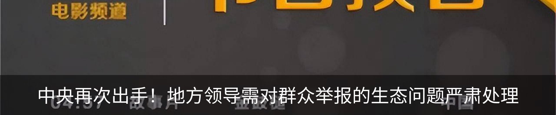 新闻动态